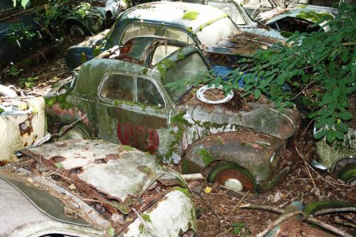 autos old car cemetery