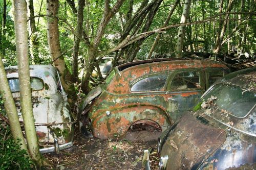 autos old rust