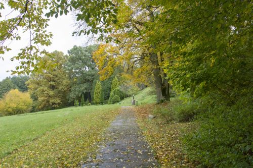 Autumn In Botanic Garden