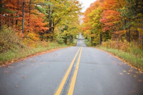 autumn fall road