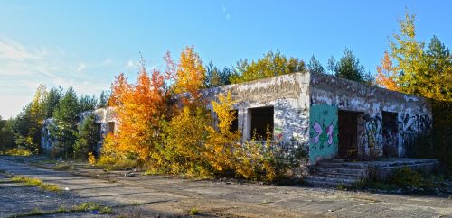 autumn nature building