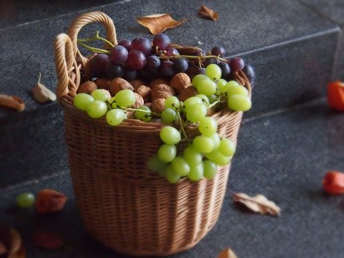 autumn grapes food