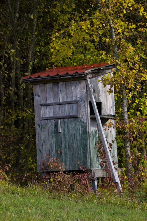 autumn hunting hut