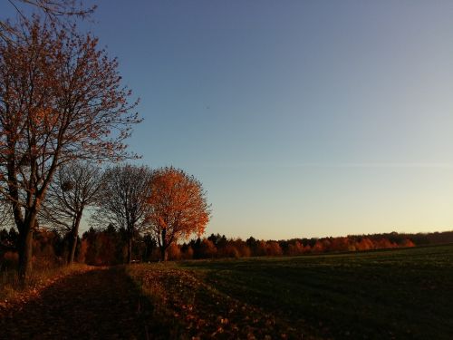 autumn nature landscape