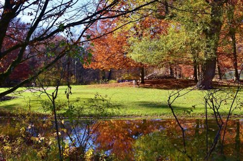 autumn leaves light