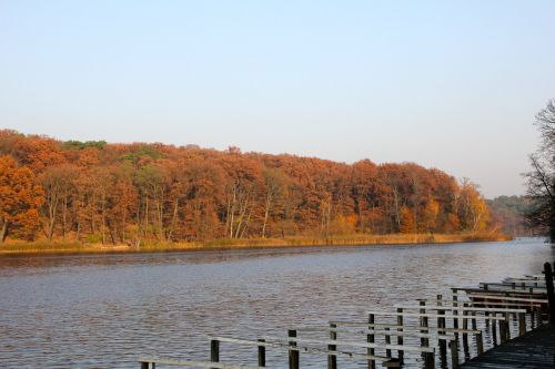 autumn lake trees