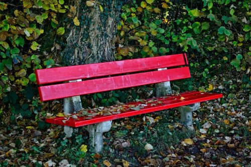 autumn bench bank