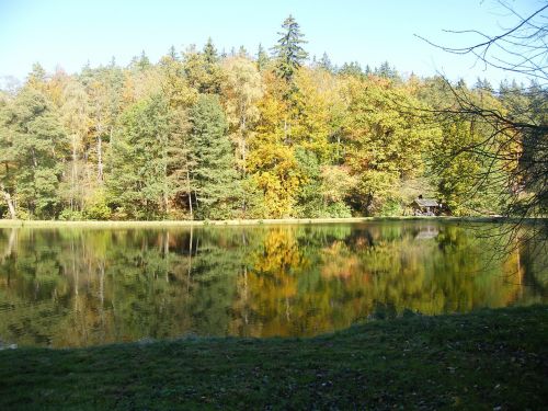 autumn emerge pond