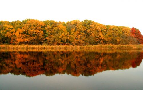 autumn lake forest