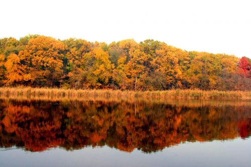 autumn lake forest