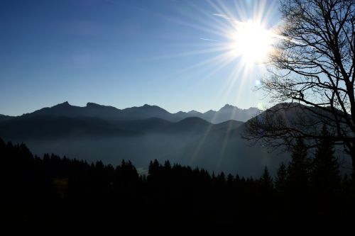 autumn sun forest