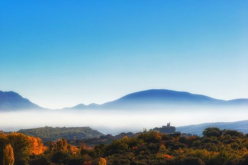 autumn fog nature