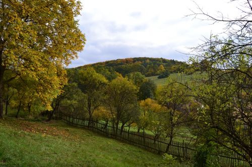 autumn landscape nature