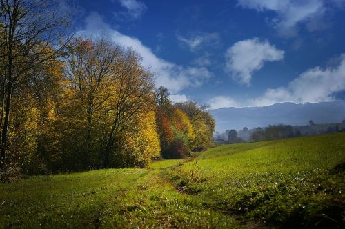 autumn view colors