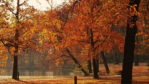 autumn nature lake