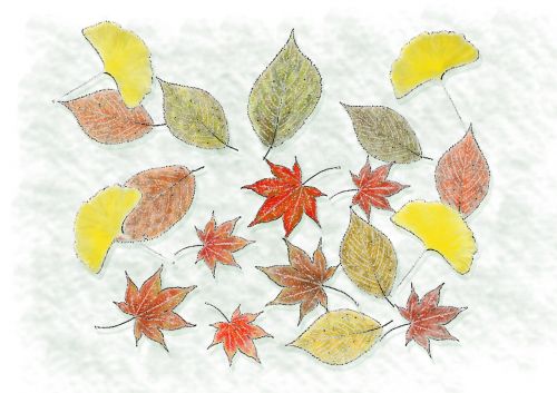 autumn fallen leaves foliage