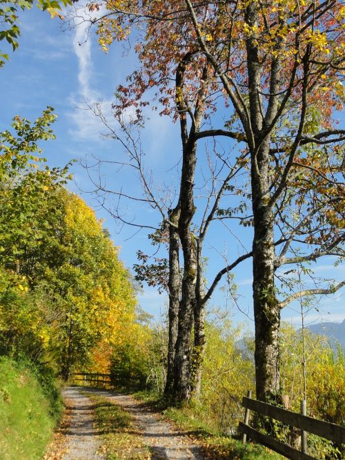 autumn landscape away