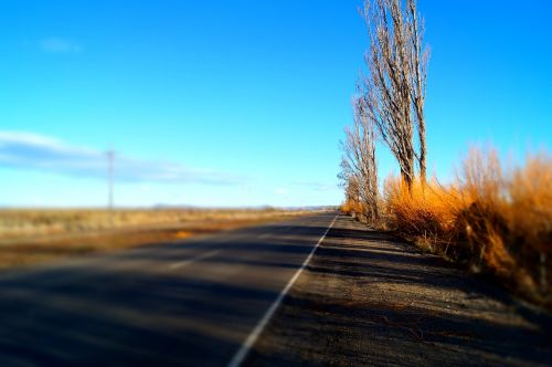autumn road argentina