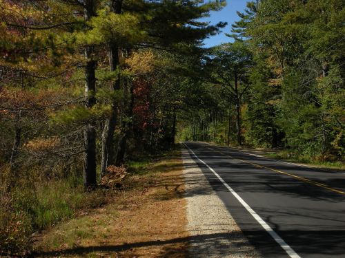 autumn scenery road