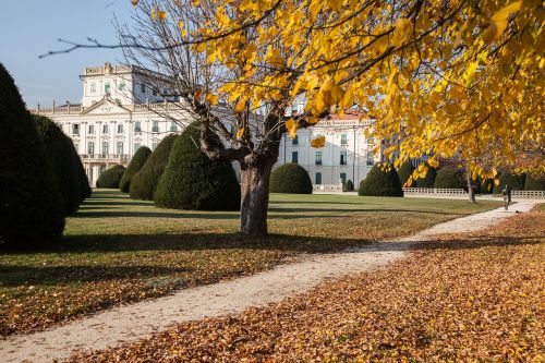 autumn castle building