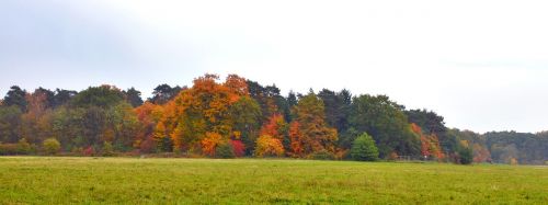 autumn autumn panorama autumn mood