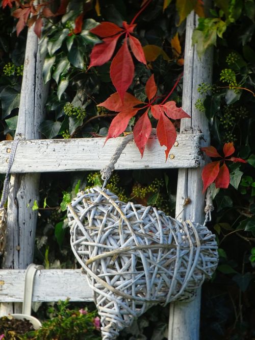 autumn garden colors of autumn