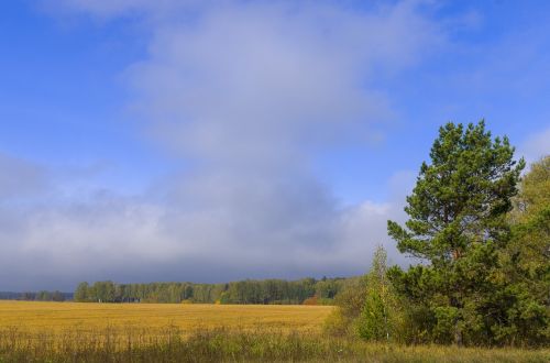 autumn field background