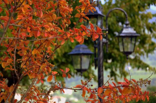 autumn leaves lamppost