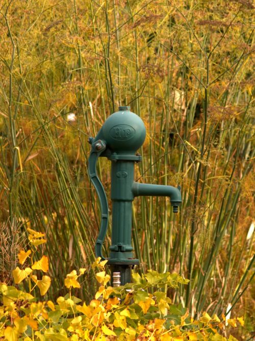 autumn water pump