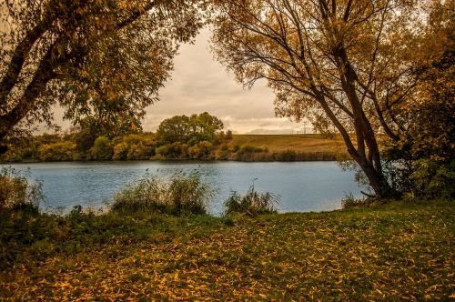 autumn little lake leaves trees