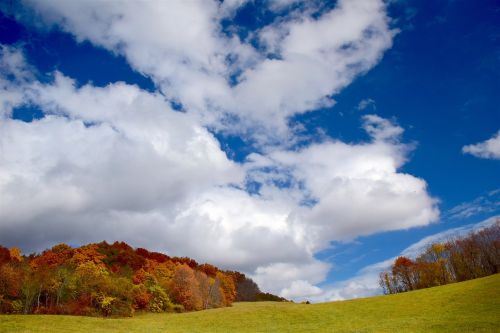 autumn foliage sky