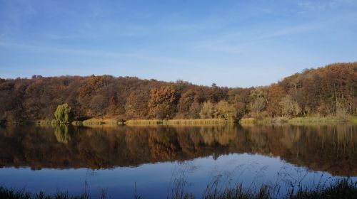 autumn sky forest