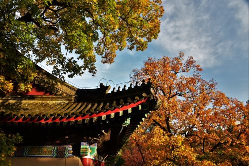 autumn ancient architecture roof