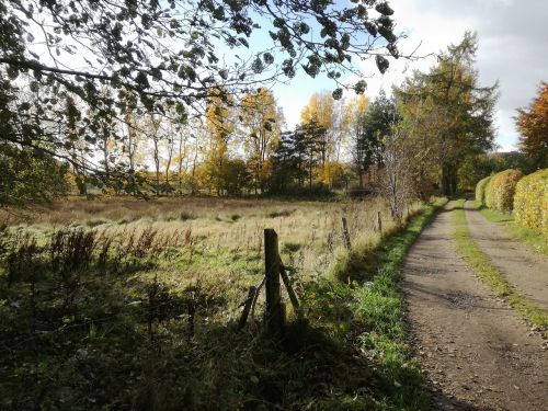 autumn fall landscape