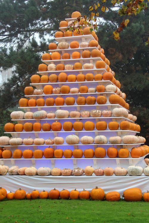 autumn pyramid pumpkin
