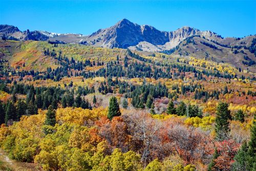 autumn mountain landscape