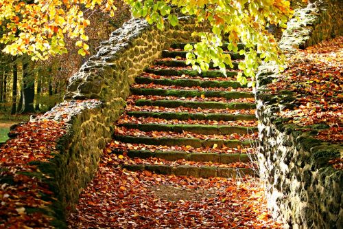 autumn stairs fall foliage