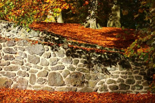 autumn stone wall fall foliage