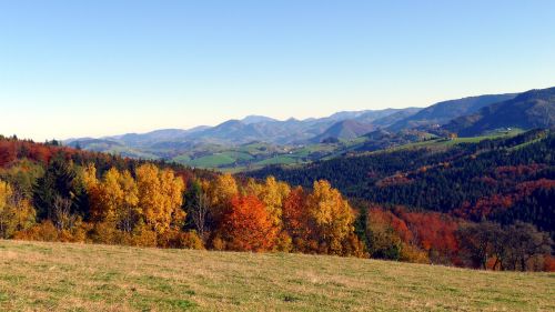 autumn autumn mood autumn forest