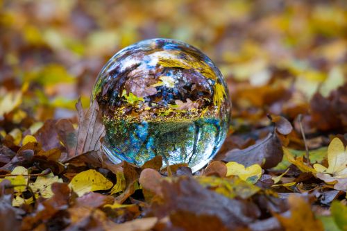 autumn glass ball ball