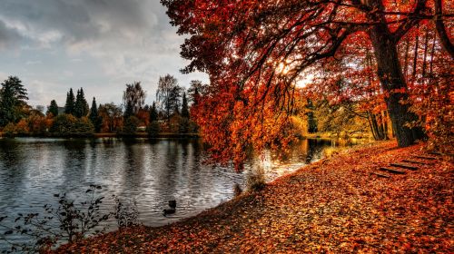 autumn sun pond