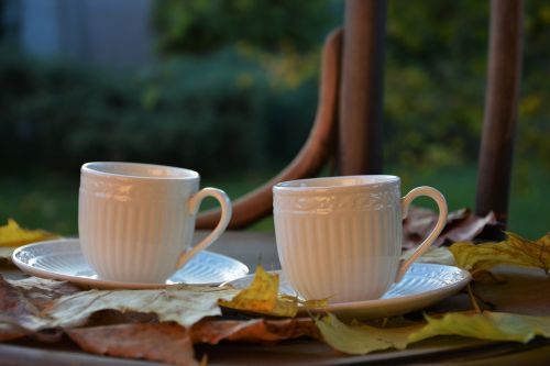 autumn mugs leaves