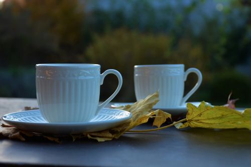 autumn mugs leaves