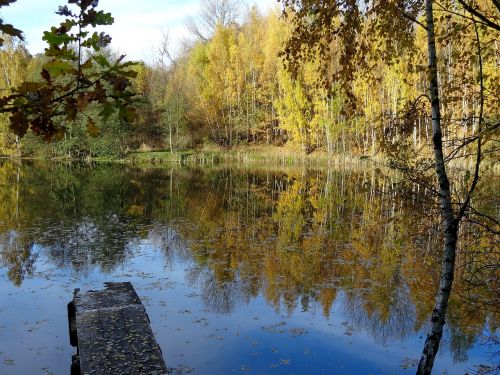 autumn water pond