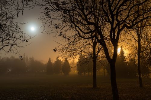 autumn fog moon