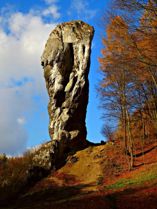 autumn rock limestone