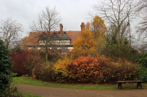 autumn park landscape