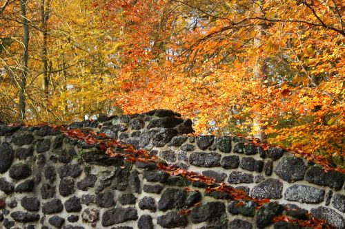 autumn wall clumping stone