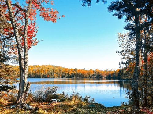 autumn water lake