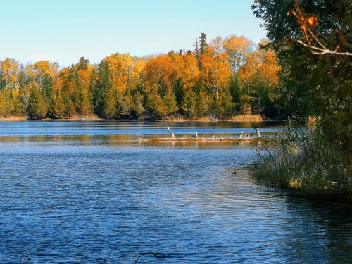 autumn lake nature